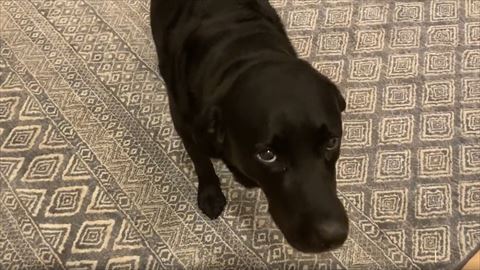 アップめで上目遣い