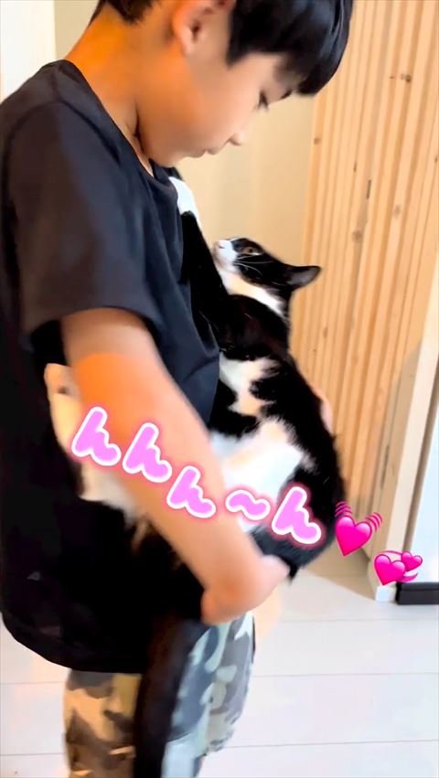 んんん〜って言ってる猫