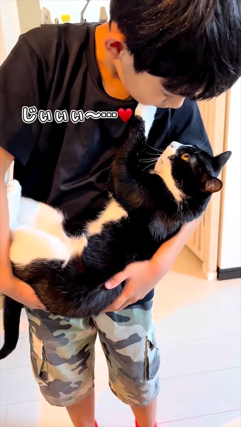 お兄ちゃんが顔を近づける猫
