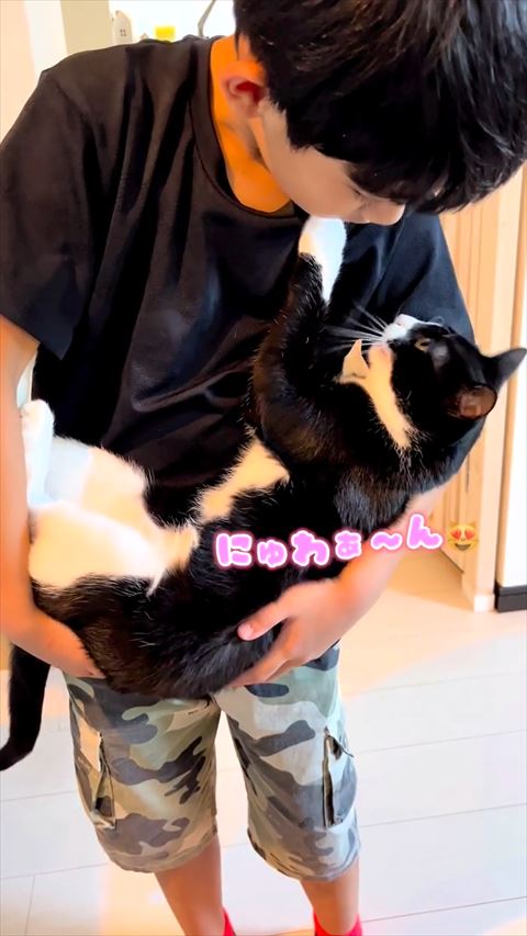 喋ってる猫ちゃん