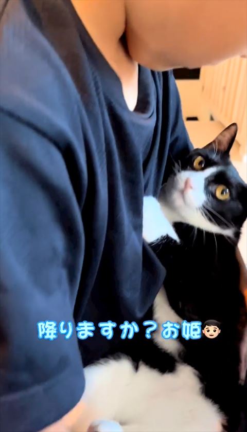 降りますか？テロップの息子と猫