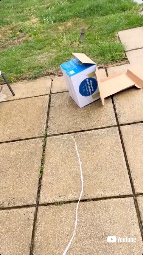 箱から大空へ飛ぶ鳥