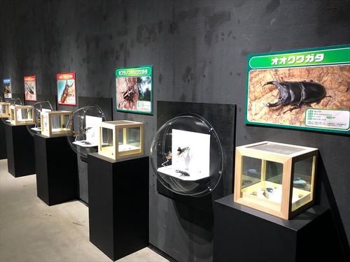 生体とガシャポン