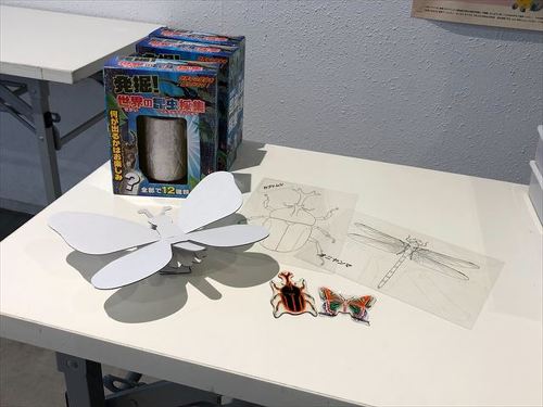 ワークショップ