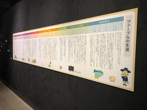 ファーブルの生涯