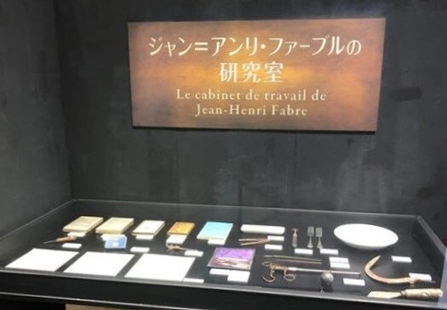 ファーブル展示