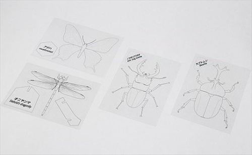 ワークショップ