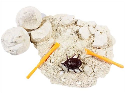 ワークショップ