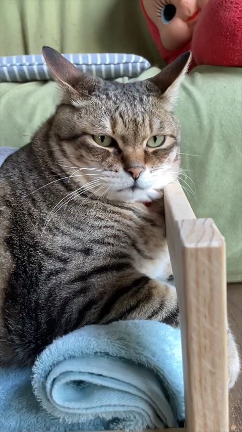 ベッドの柵にあごのせてる