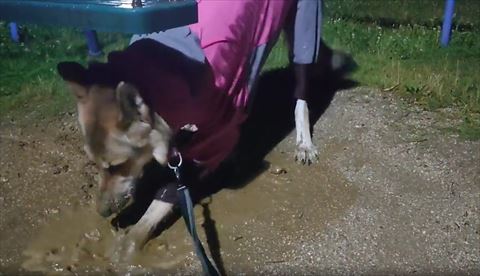 ホリホリしてる