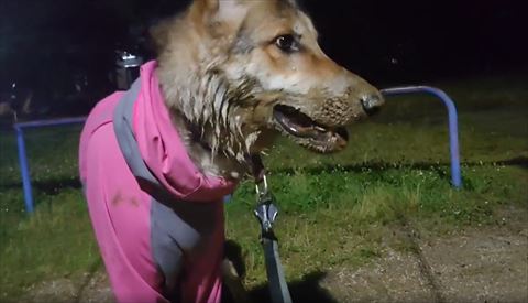 泥だらけの横顔