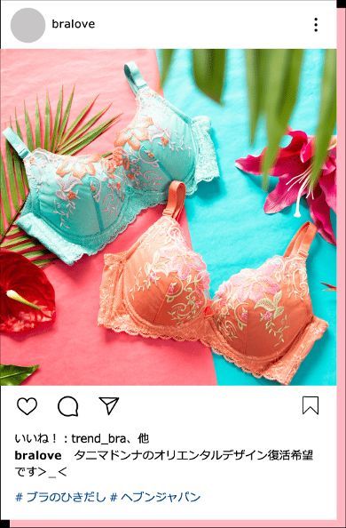 ブラのひきだし