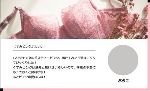 ブラのひきだし