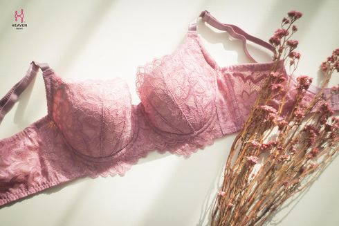 ブラのひきだし