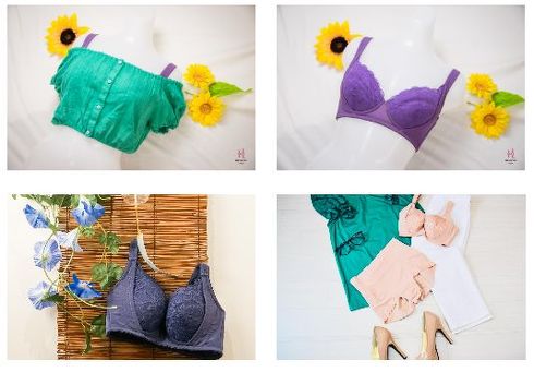 ブラのひきだし