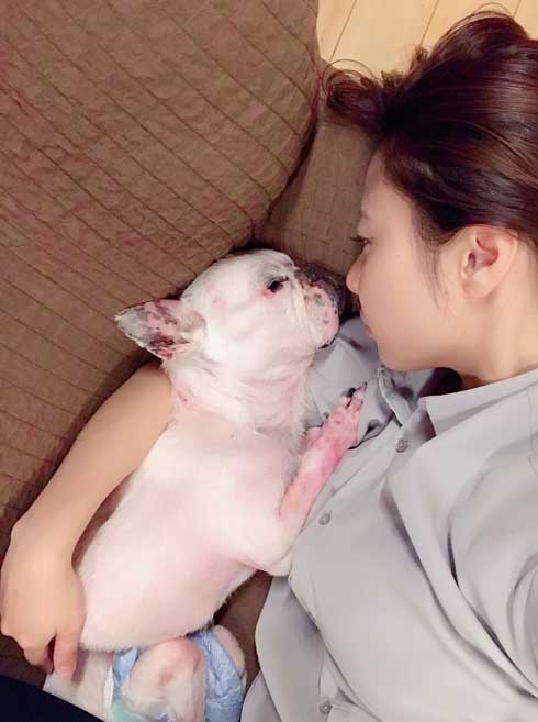 腕枕する飼い主と犬