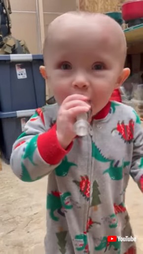 「Baby is Amused by Duck Call || ViralHog」