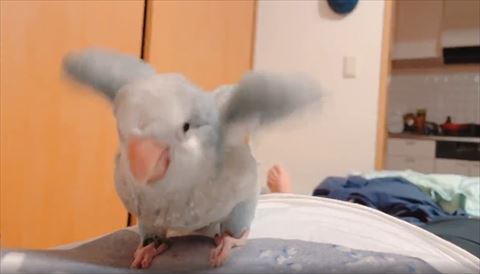 下向いてわきわき