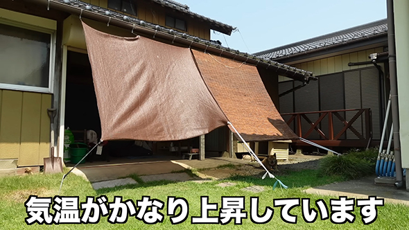 気温がかなり上昇している外の犬