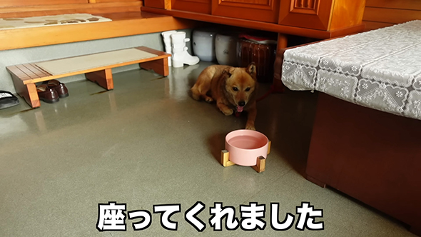 座ってくれました