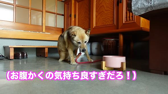 おなかをカイカイ