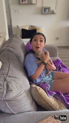 「Introducing My New Baby Bulldog || ViralHog」