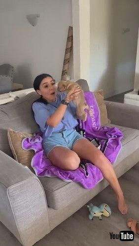 「Introducing My New Baby Bulldog || ViralHog」