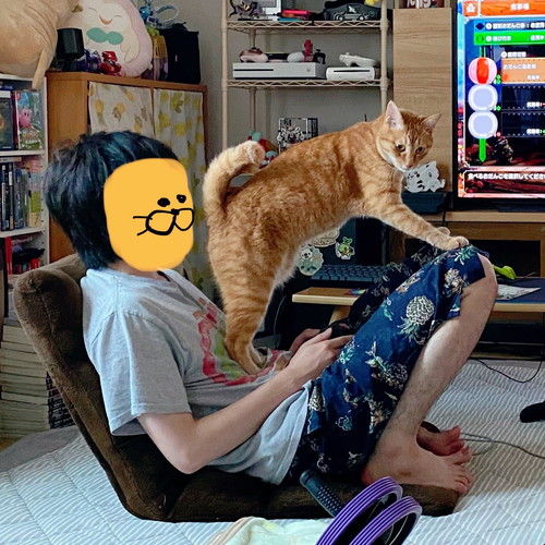 お尻をたたいて欲しいボブくん