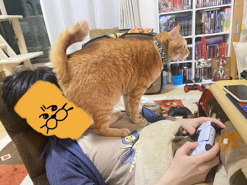 お尻をたたいて欲しいボブくん