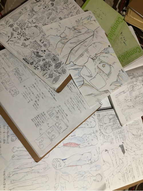 絵が上手くなる為に1年間描いてきた物
