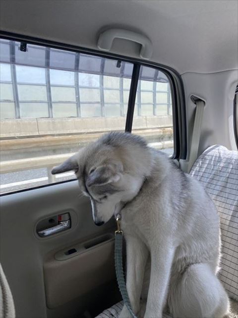 さらにうつむき気味