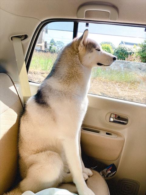 車内から窓見てる