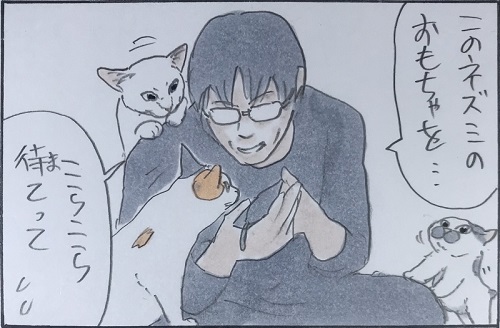 拾い猫のモチャ