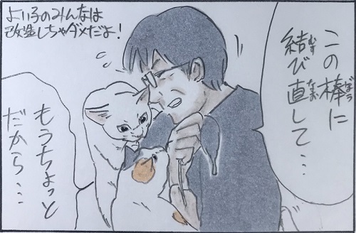 拾い猫のモチャ