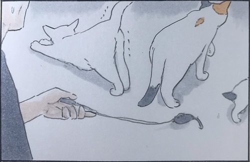 拾い猫のモチャ