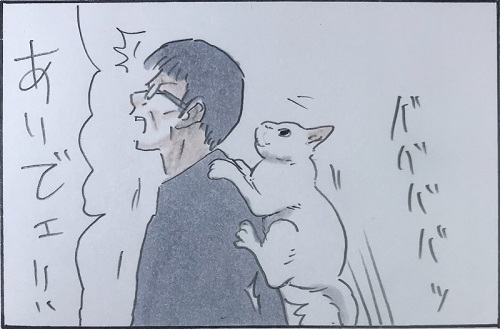 拾い猫のモチャ