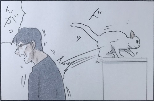 拾い猫のモチャ