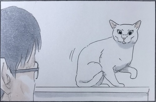 拾い猫のモチャ