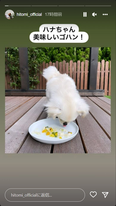 hitomiの愛犬