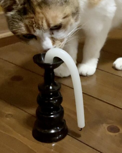 ろうそくさんギブ01