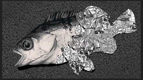 アルミ箔で包めるブラシを魚に使ったところ