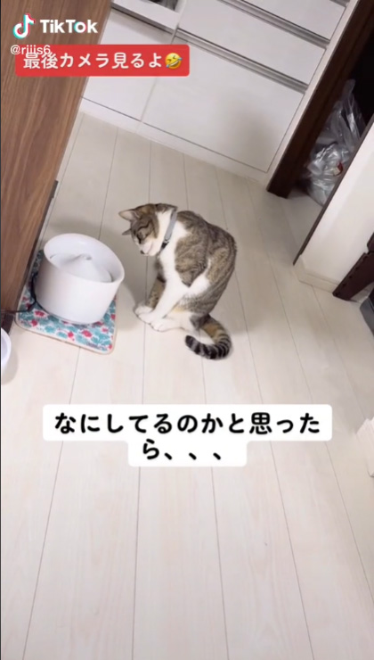 動画冒頭