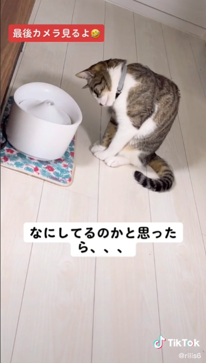 動画冒頭からアップ
