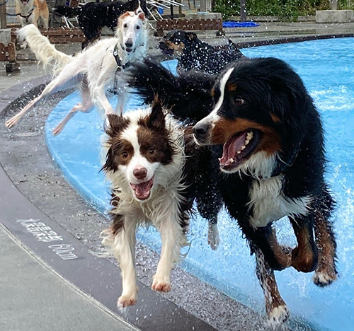 漫画の表紙のような1枚トリミング