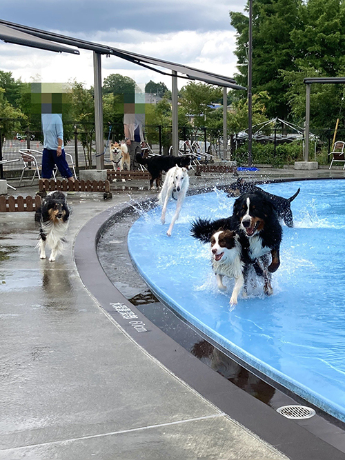 ジャンプする前の1枚