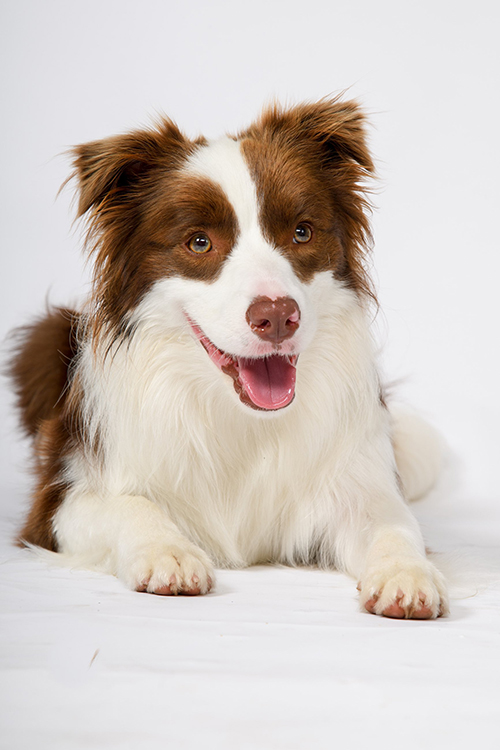 ルナちゃん正面