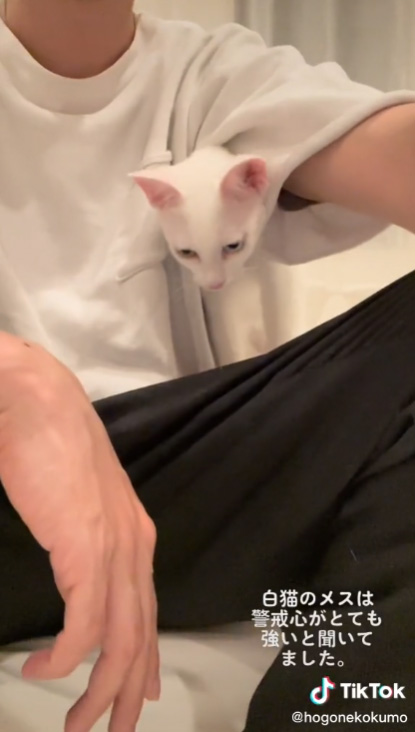 顔を出すくもちゃん