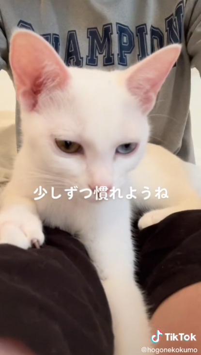 少しずつ慣れようね