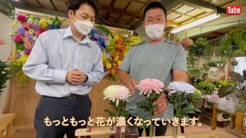 花 染める 実験 輪菊 染色 仕組み 農水省 YouTube