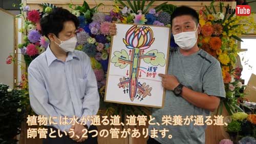 花 染める 実験 輪菊 染色 仕組み 農水省 YouTube